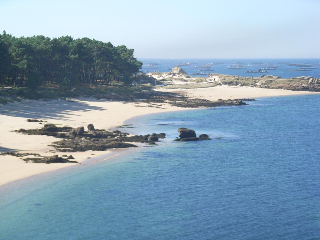 Apartamento En La Isla Con Vistas Al Mar 艾利亚德亚罗萨 外观 照片